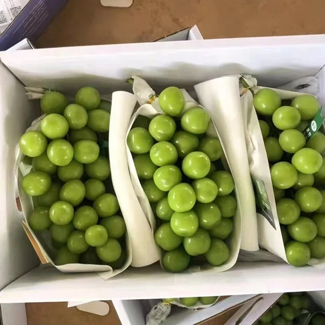 Высокий сладкий свежий блеск виноград Мускат