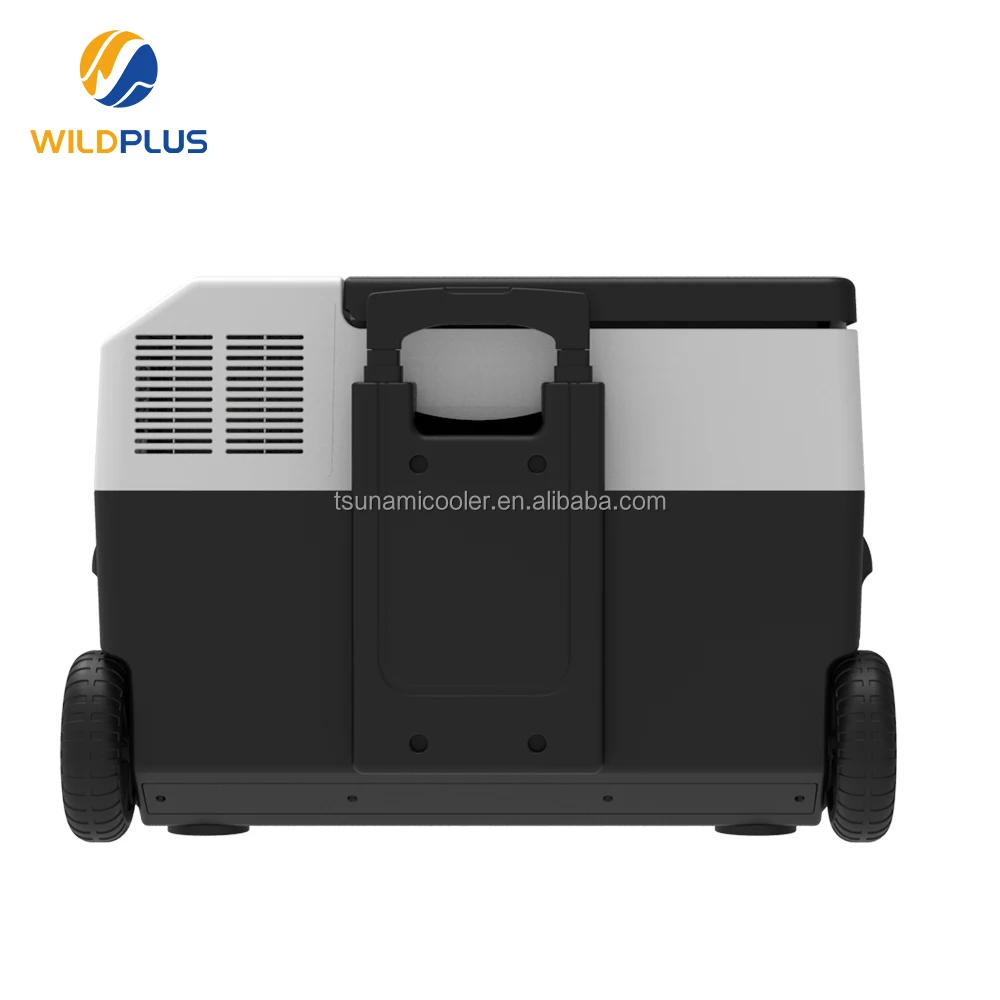 50L 12V 24V Car Fridge Caravan Camping Car Freezer Portable Refrigerator with CE