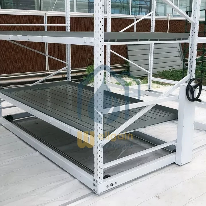 ebb and flow table hydroponic rack grow tray
