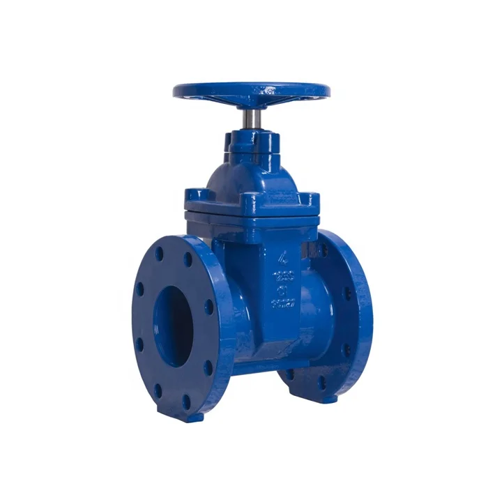 
BS5163/ EN 1171 PN25 Rising Stem Resilient Seated Gate Valve 
