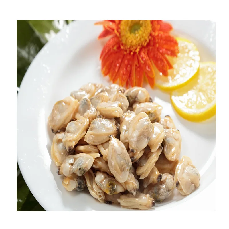 New wholesale good quality seafood buyers favourite chinese seafood clam meat