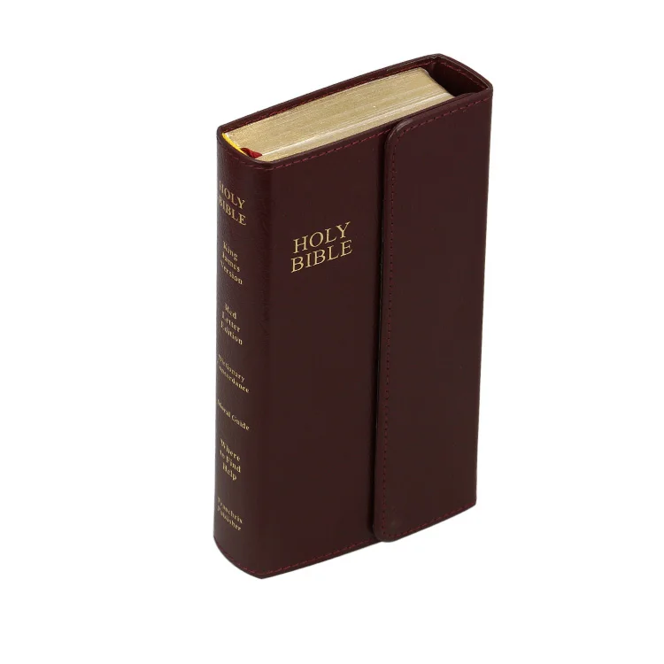 Gold Print Bible New International Version Large Print Bible