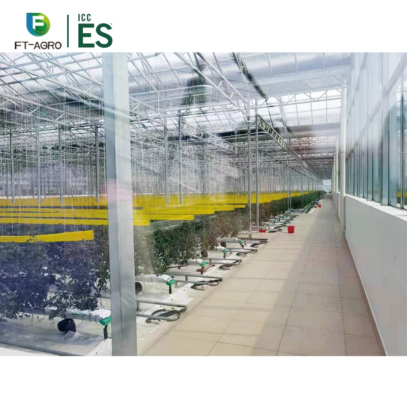 Китайская Высококачественная стеклянная теплица, сельскохозяйственная теплица для посадки роз