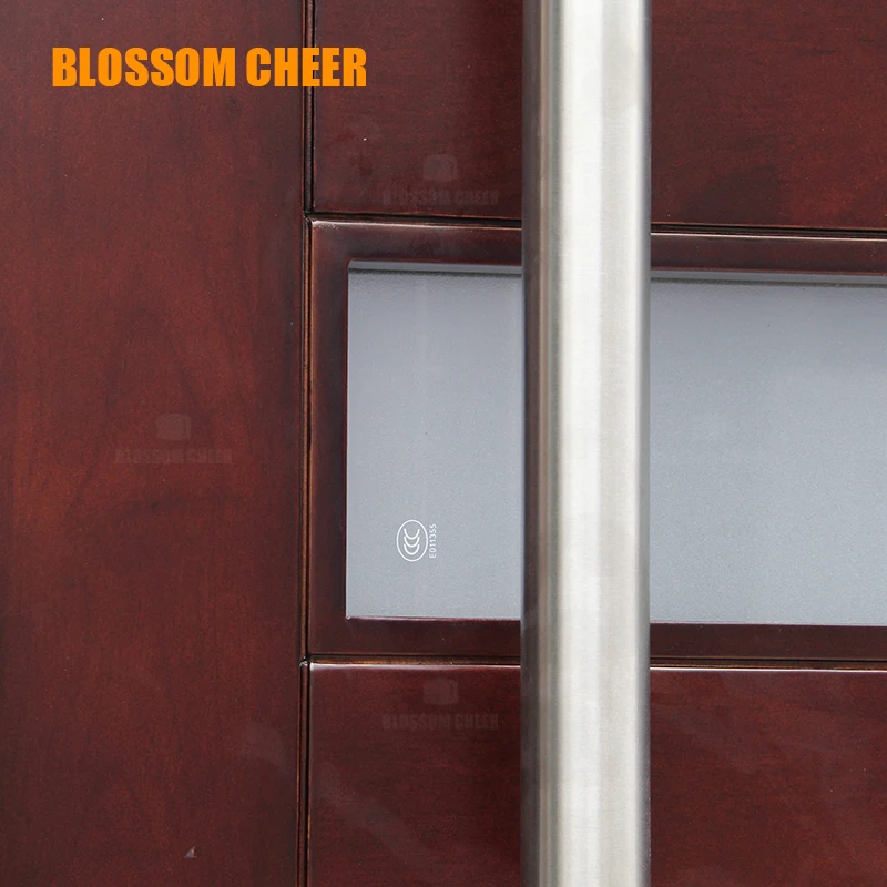 Hot Selling Exterior Security Front Entry Security Pivot Modern Huge Wooden Glass Entrance Pivot Door For Houses Villa Home Door