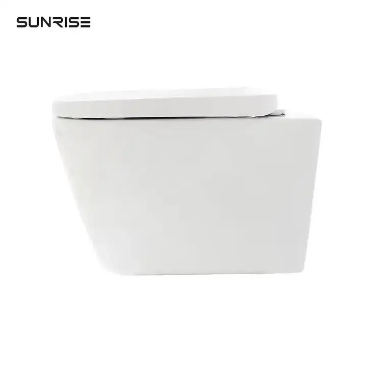 Modern Wc wall toilet cabinet One-Piece Ceramic Floor Flush Toilet P-Trap Drainage for Hotels Australian Lavatories