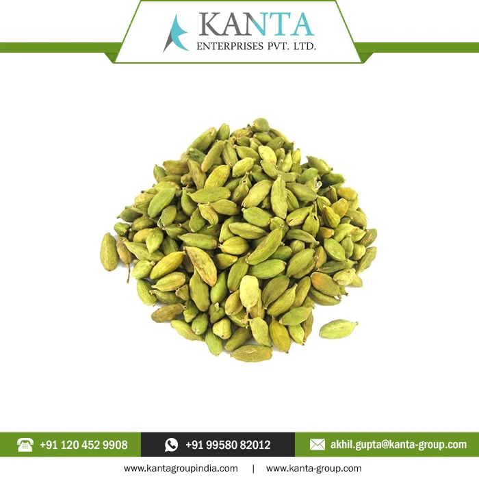 Pure 100% Natural Cardamom Essential Oil powerful flavoring and aromatic agent Available at low Price
