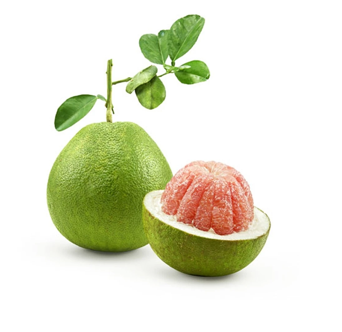 Vietnam honey pomelo / grapefruit export worldwide - Wholesale for fresh citrus fruit / fresh pomelo fruit crop 2024