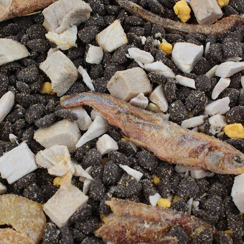 2022 OEM Custom Cat Food Delicious Cooking Salmon Cat Treat Snack Wet Food