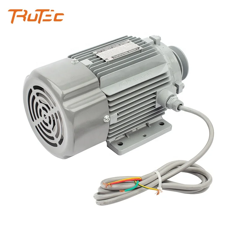 220V Ex-Proof Electric Single Motor Dual Motor Electric