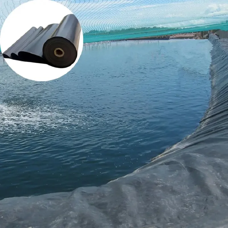 Geomembranes GM13 ASTM 0.5mm 0.75mm 1mm HDPE pond liner hdpe geomembrane sheet for fish pond farm tank