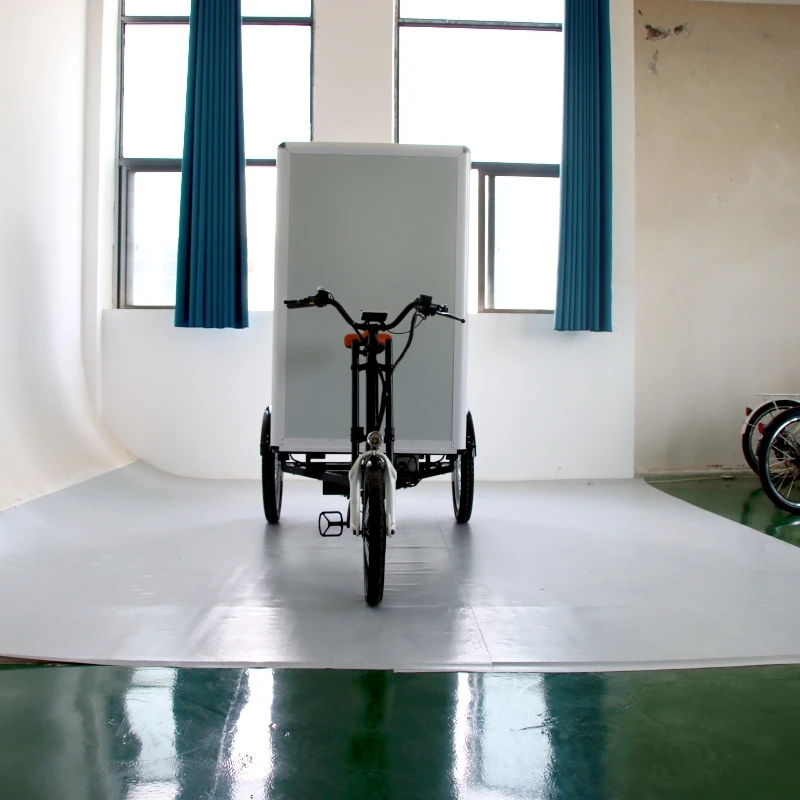 Heavy load cabin cargo Tricycle / closed 3 Wheel Motorcycle Heavy load Cargo Bike Electric bicycles