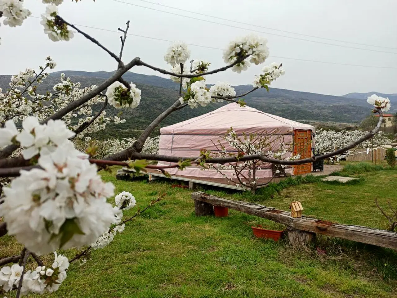 Windproof and warm outdoor yurt Structure Frame Tent
