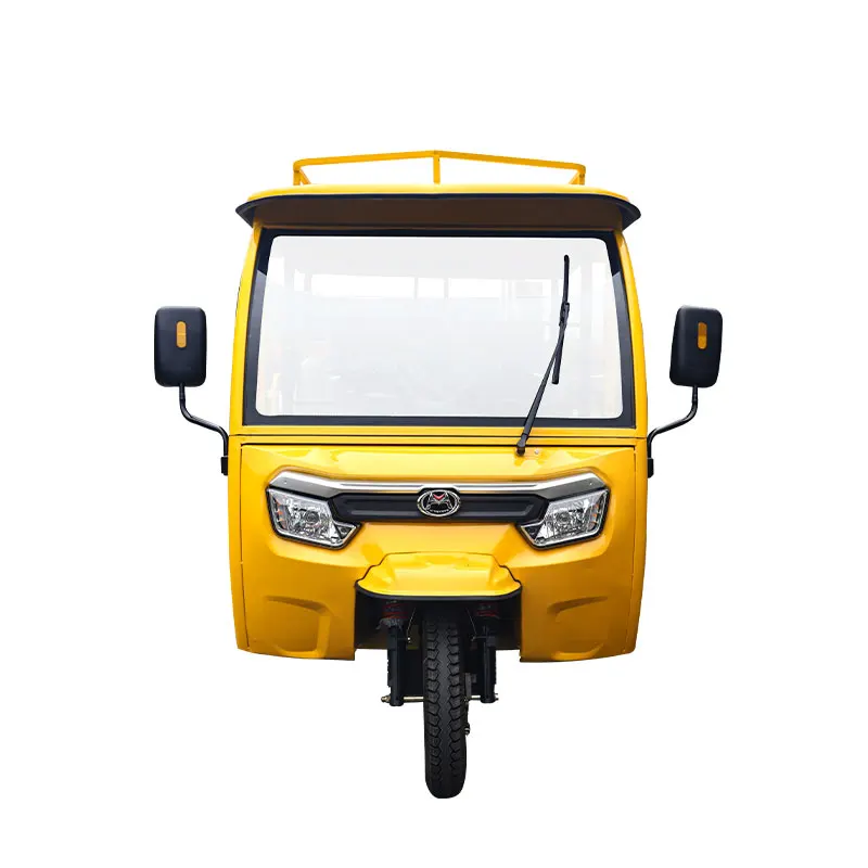 Proper Price Adult Electric Tricycle Passenger with Cabin 3 Wheel Electric Rickshaw With COC 3000W