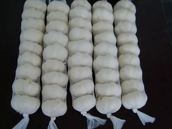 Order Fresh Purple white Garlic 5.5cm 10kg/box with pallet from Sinofarm for buyers in Dubai