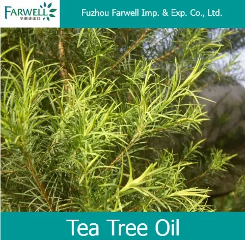 Farwel Natural Tea Tree Essential Oil with High Quality Reliable Supplier CAS.:68647-73-4
