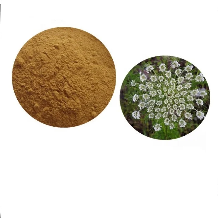 
Man health natural herbal extract Osthole 10% cure for premature ejaculation 