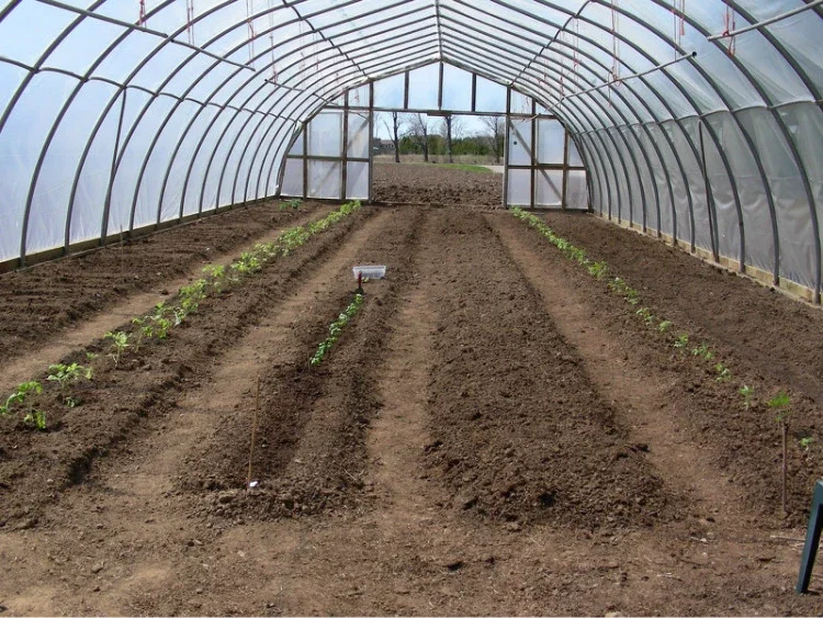 Good Quality And Easily Installed Single  span  Agricultural/Commercial PE Film  Tunnel  Green House