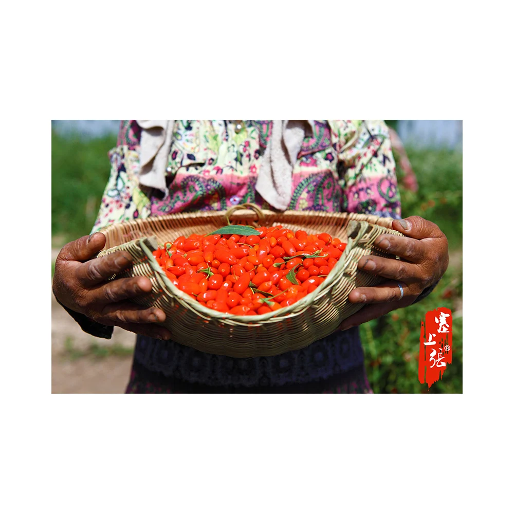  High Quality Antioxidant Superfood Dried Goji Berries for anti