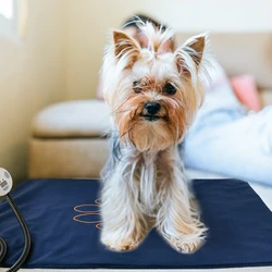 Washable Dog Heating Pad Electric Dog Warm Mat Heat Dog Bed for Pet