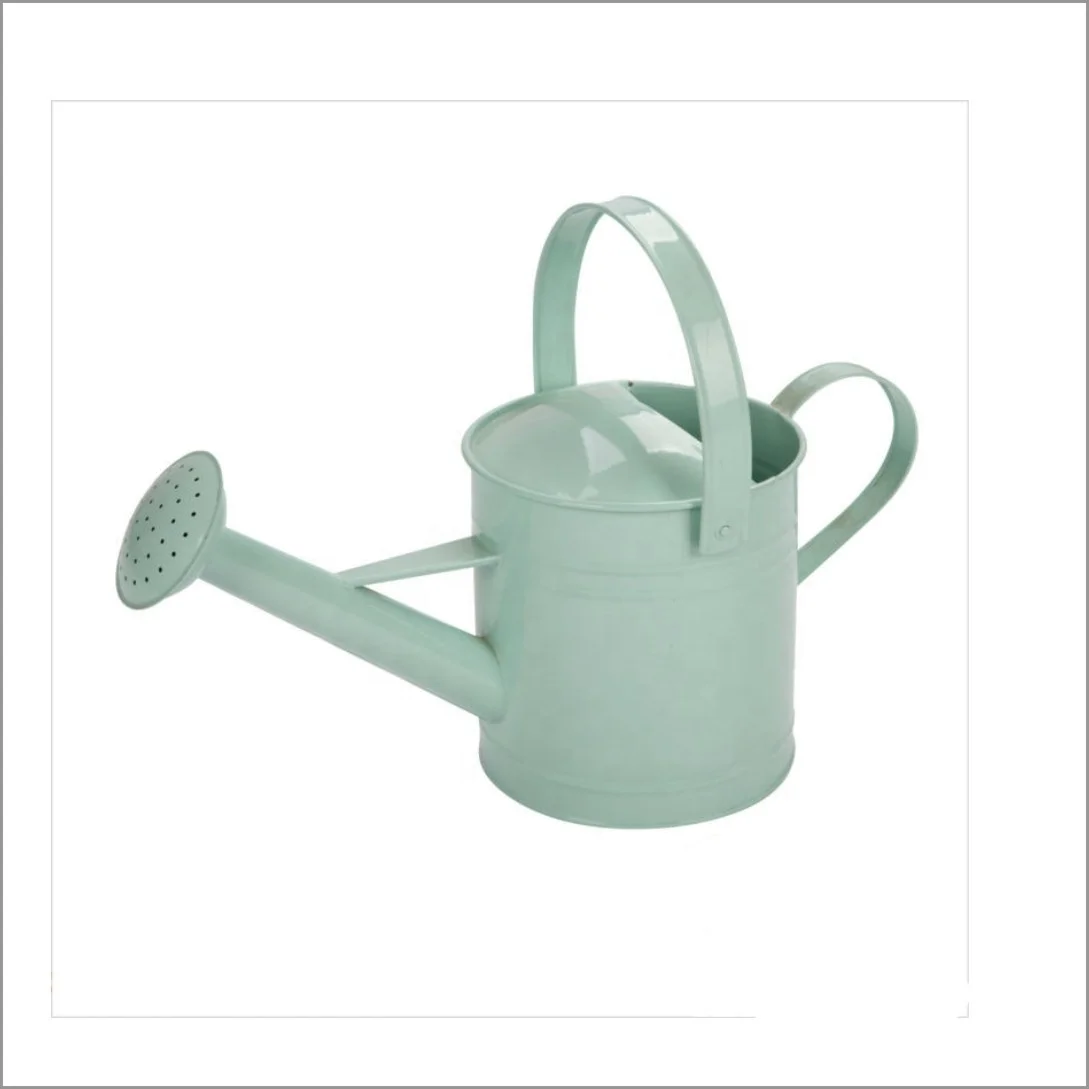 Garden Galvanized Metal Water Can For Plants