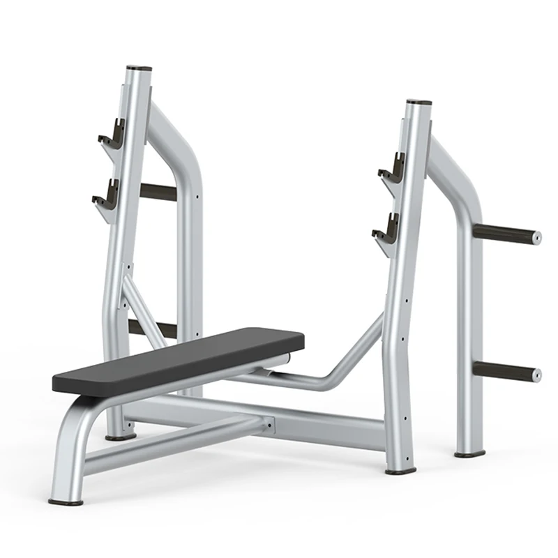 BFT-6001 Multifunction Professional Weight Bench Adjustable Gym Flat Weight Lifting Equipment