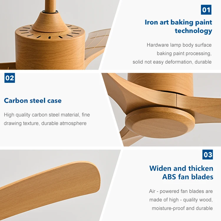 Multi Control Optional ABS 3 Blades 100% Pure Cooper Motor 220 Volt BLDC Ceiling Fan
