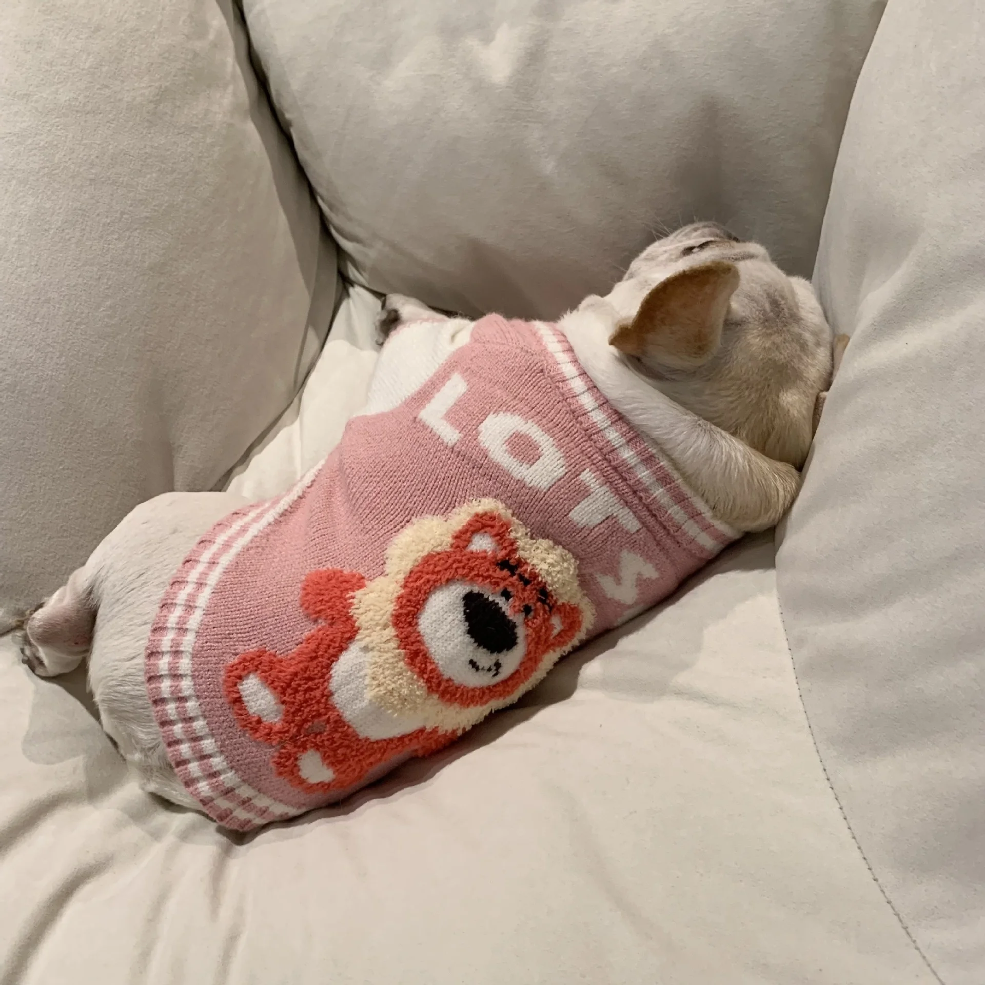 Japan And Korea Popular Cartoon Dog DKNY Jeans Super Cute Pink Bear Pet Sweater Coat