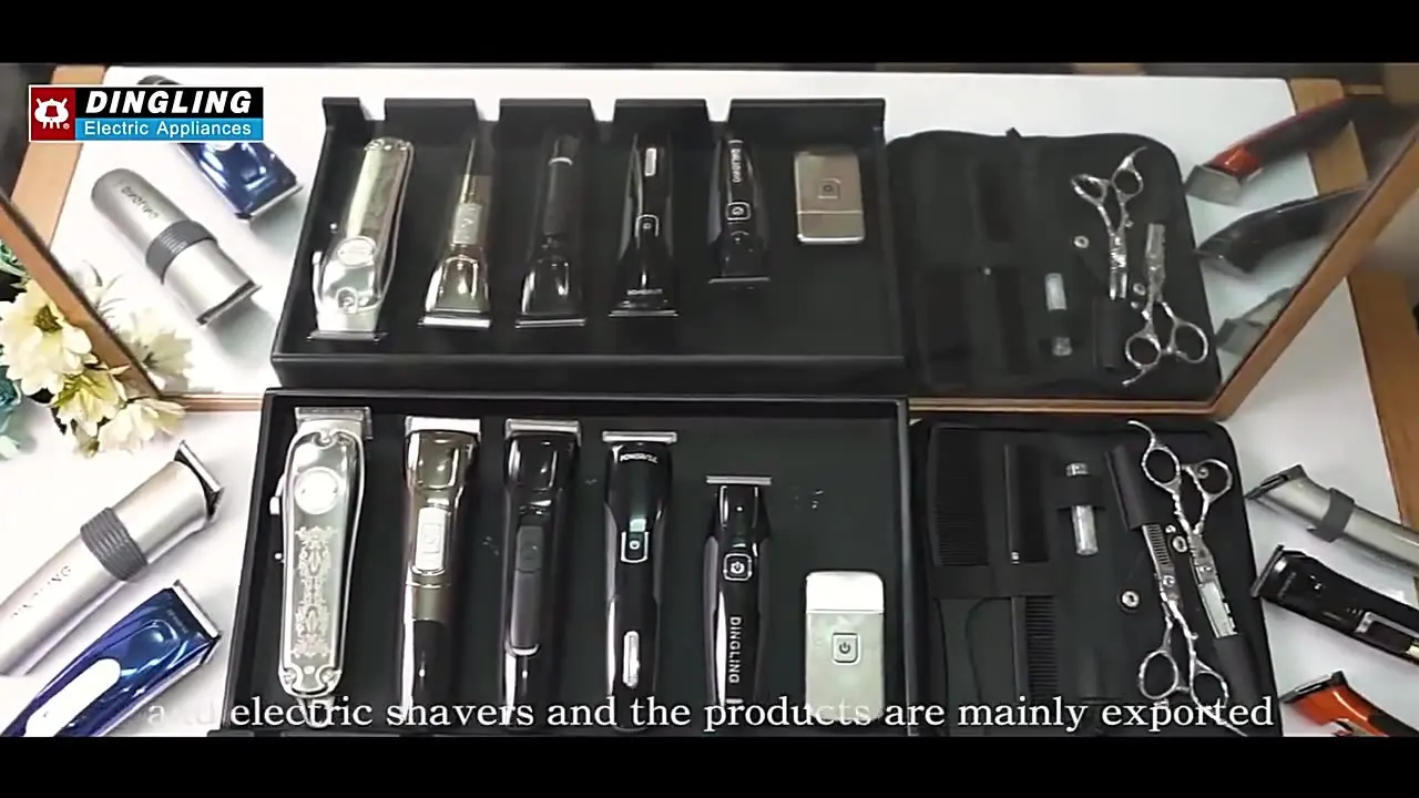 Dingling New Arrival Latest Design waterproof mini electric shaver manufacturers