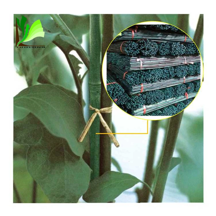 Dried Nursery Bamboo Flower Supporting Sticks from China