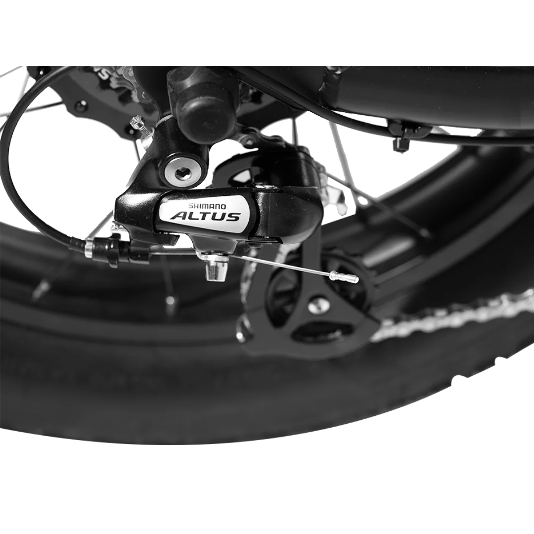 Super 750W Powerful 20 Inch Fat Tire Snow /Beach Electric Bicycle Dual Disc Brake Fat Tire Electric Mountain Bike