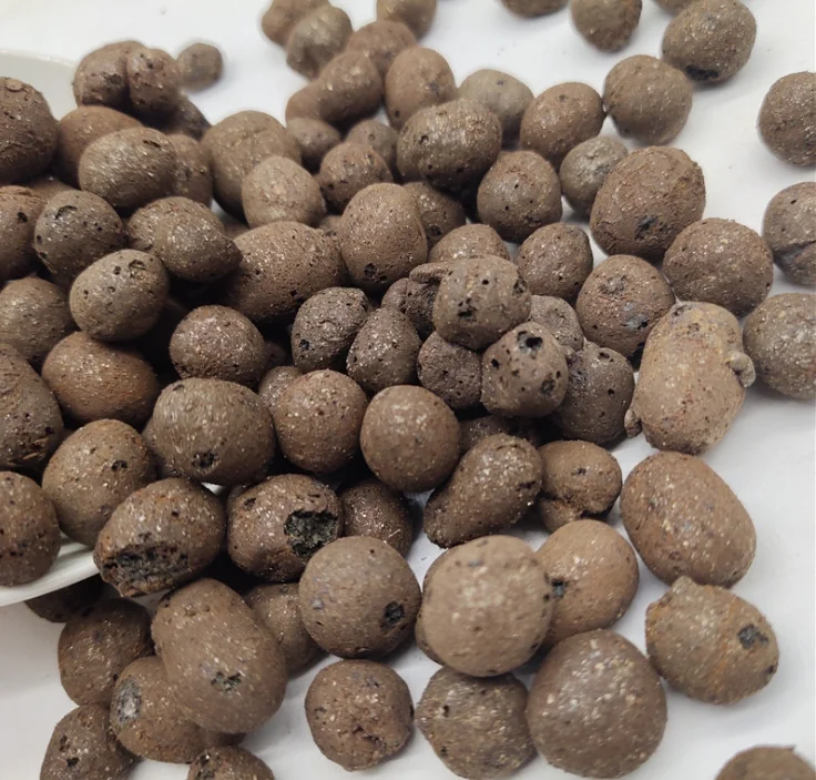 hydroton clay pebble