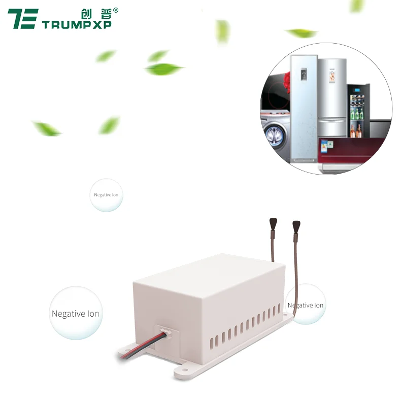 two needlepoint brush type ionizer negative ion generator producing an equal amount negative ion generator