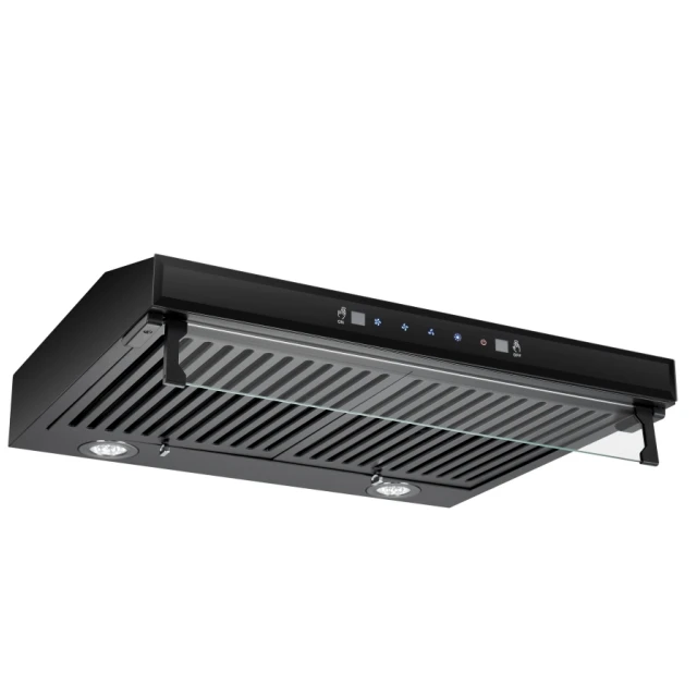 2024 new economic option for slim hood with carbon filter all part spray black color with SS baffle filter double copper motor
