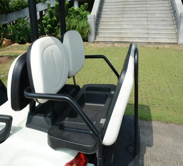 lvtong golf cart with curtis electric car conversion kit