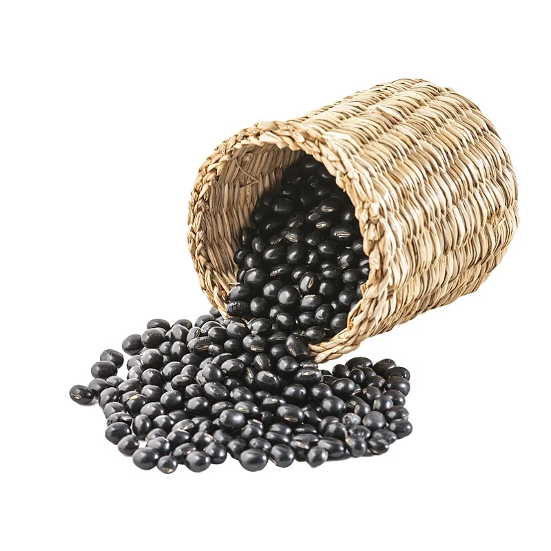 Cheap hot sale top quality black soybean bulk dried black soya beans