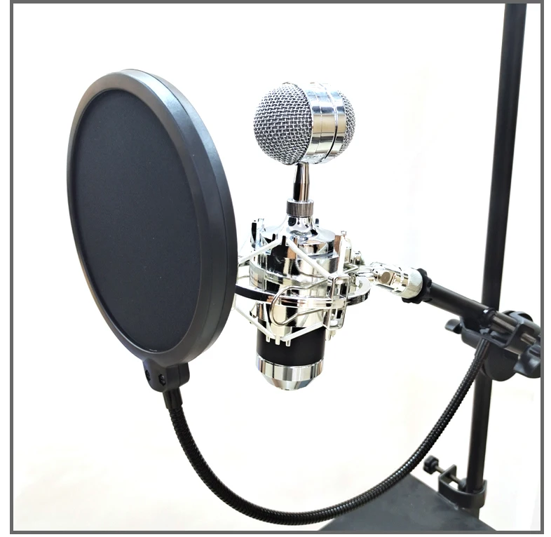 Favorable Price China Manufacturer Professional Gooseneck Shield Microphone Pop Filter Shield