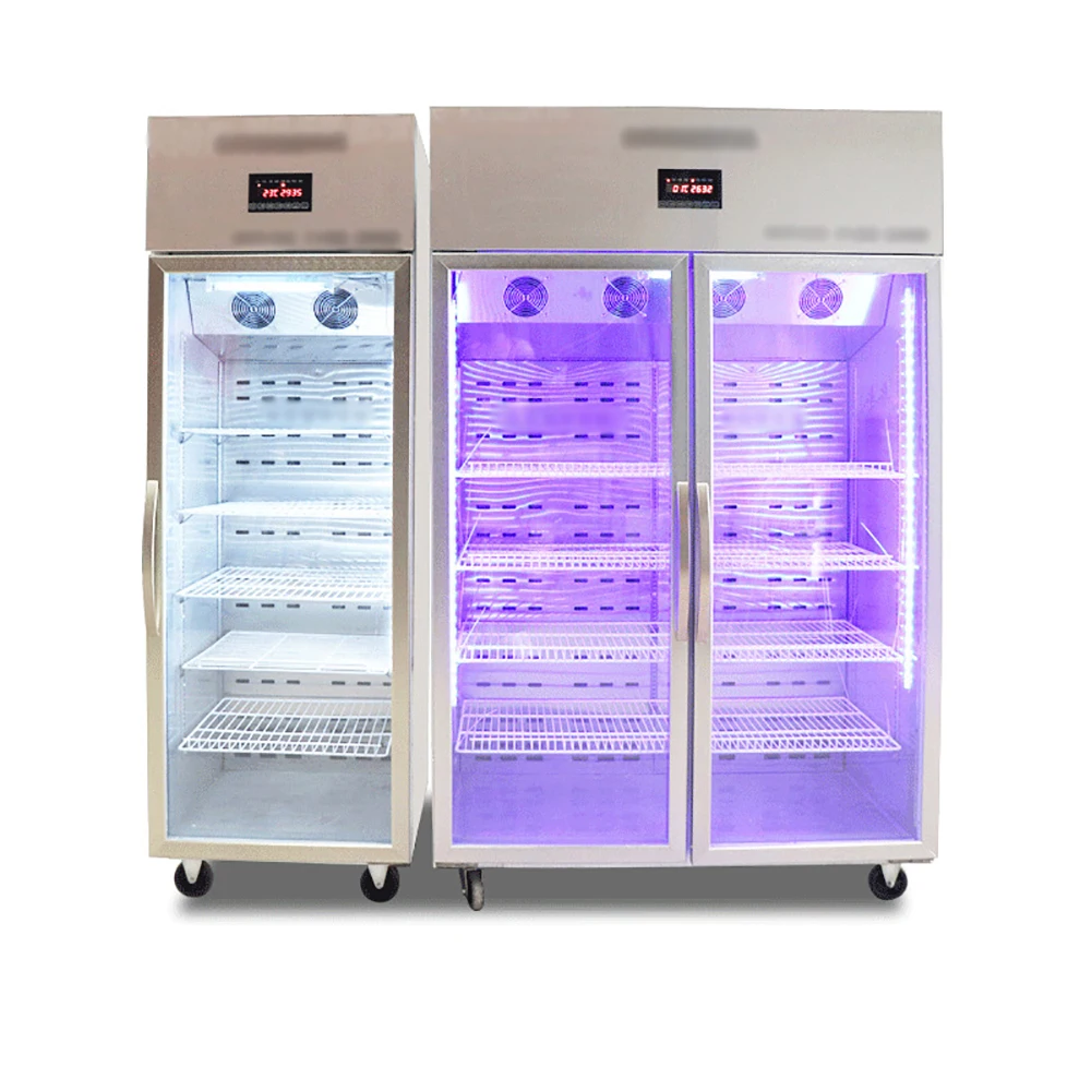 Intelligent automatic yogurt machine fermentation one machine yogurt cabinet  one single double door fruit  yogurt machine