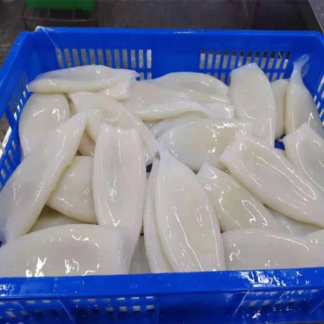 Frozen seafood Squid Tubes  squid tube