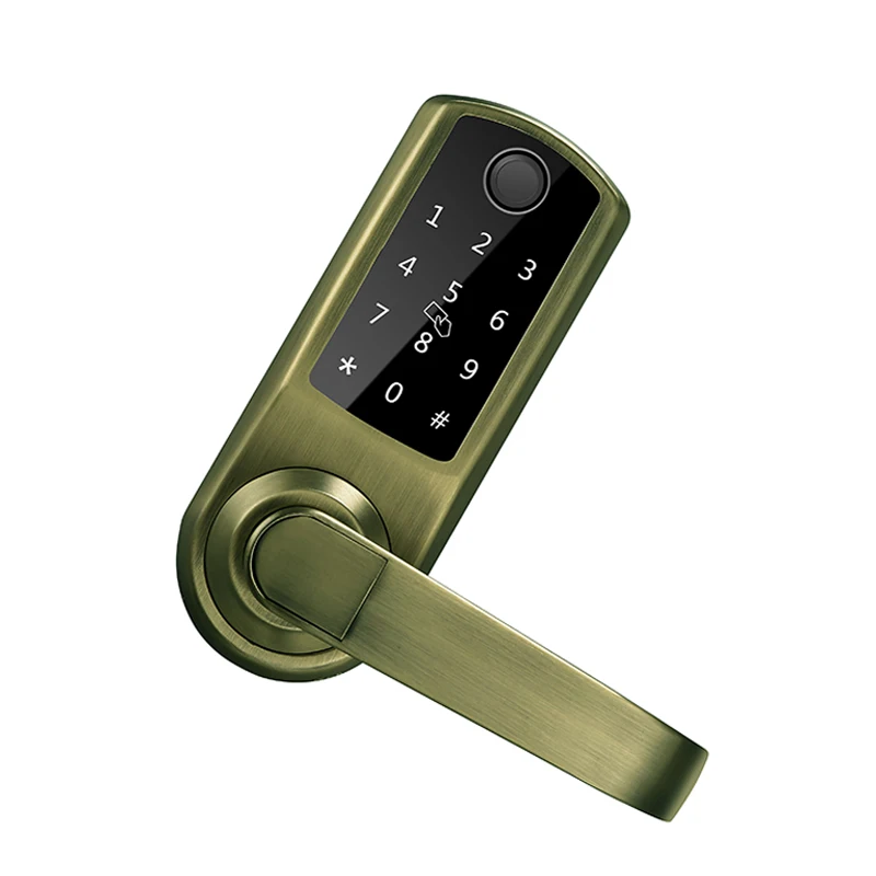 2022 New Arrival 5-in-1 Keyless Entry Door Locks Fingerprint Lock with Keypads and Voice Guide for Home