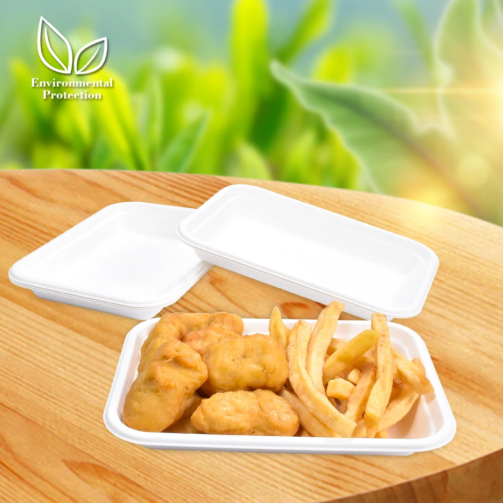 sunzza disposable Take Away Sugarcane Pulp product Compostable Bagasse paper Tray plates For Vegetables /Fruits / Seafood