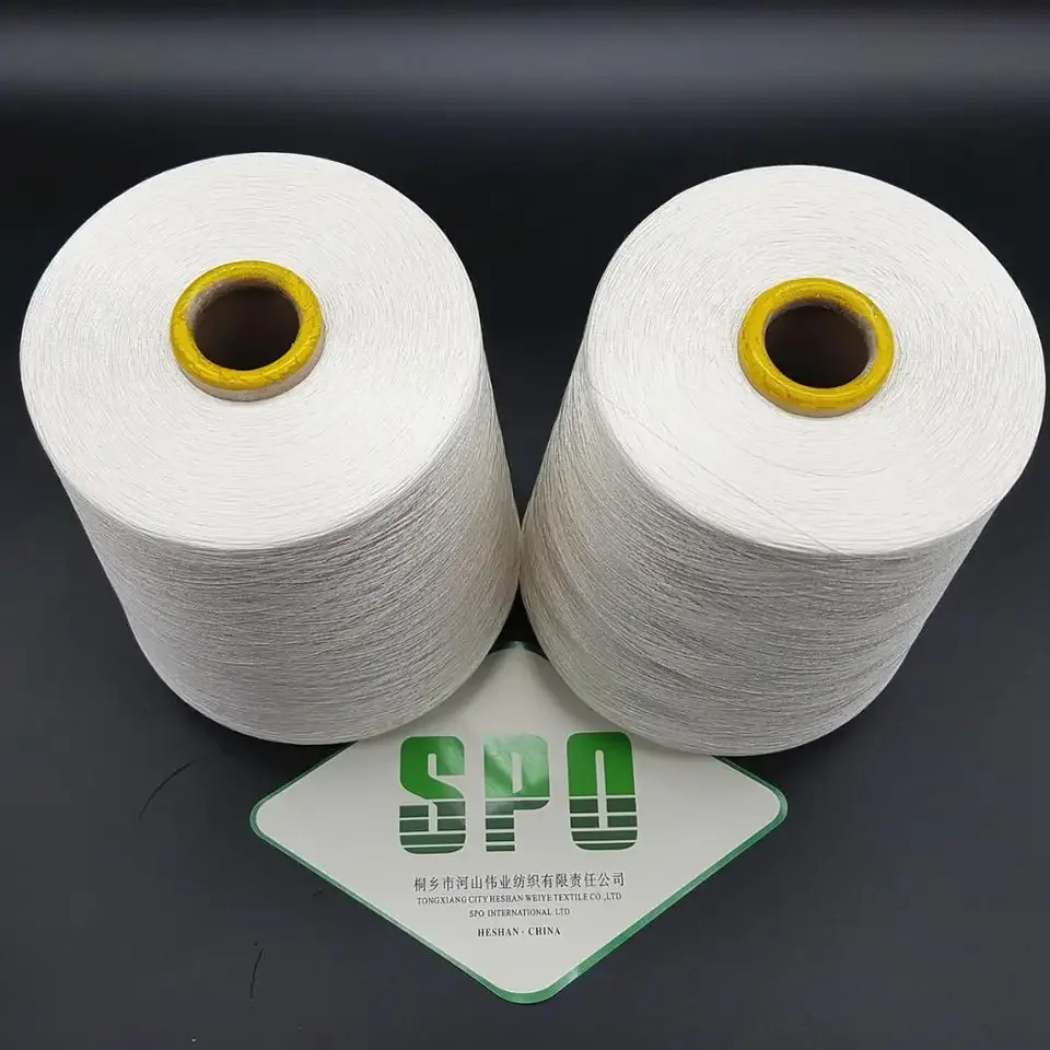 Raw Mulberry Yarn Silk for Weaving or Knitting 3A 4A 5A 6A 20 22D 27 29D Ring Embroidery OEM Anti Technics Item Style Pattern