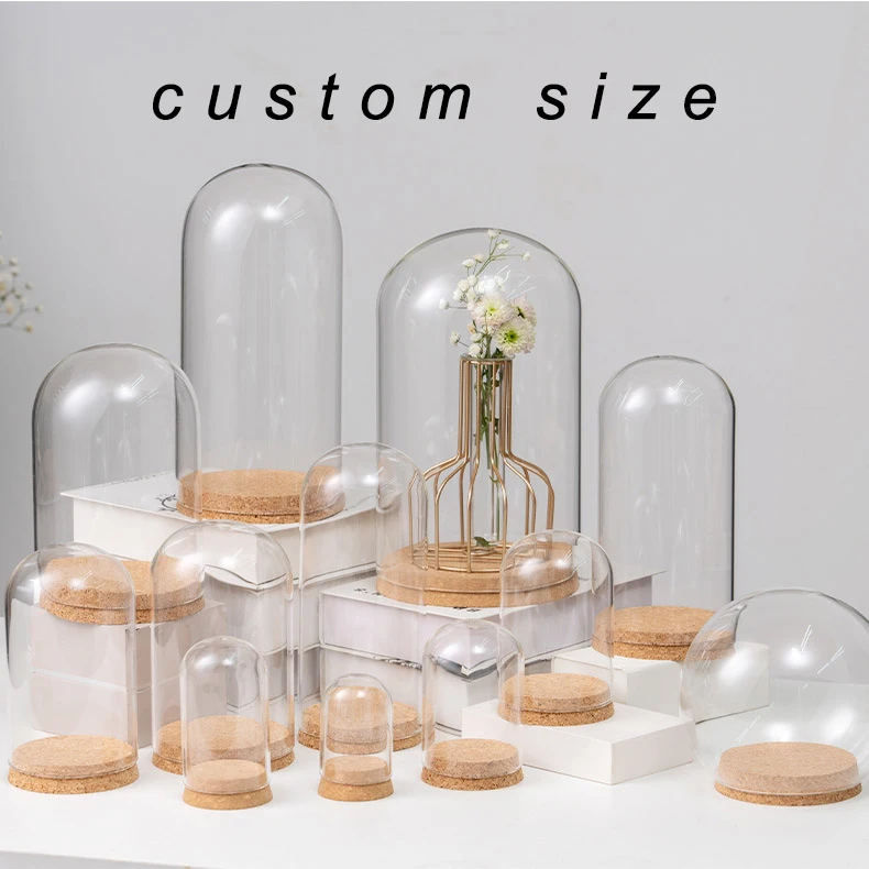 Hot Sale Cheap Large Glass Cloche Dome Bell Jar Display Stand Cover Terrarium Bottle with Cork Base for DIY Decor Glass Dome