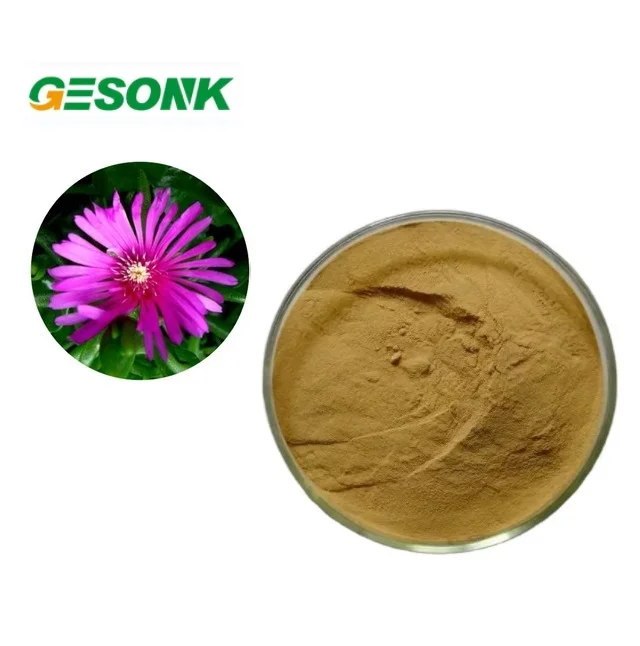 Factory Supply Natural Kanna Extract 1% 2%  Mesembrine Sceletium Tortuosum Extract Powder