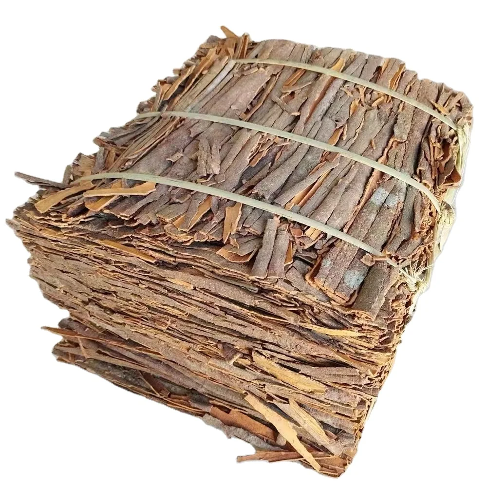BAI XIANG HUI high quality  Wholesale New Crop Low Price Chinese Pressed Cassia and  Cassia stick