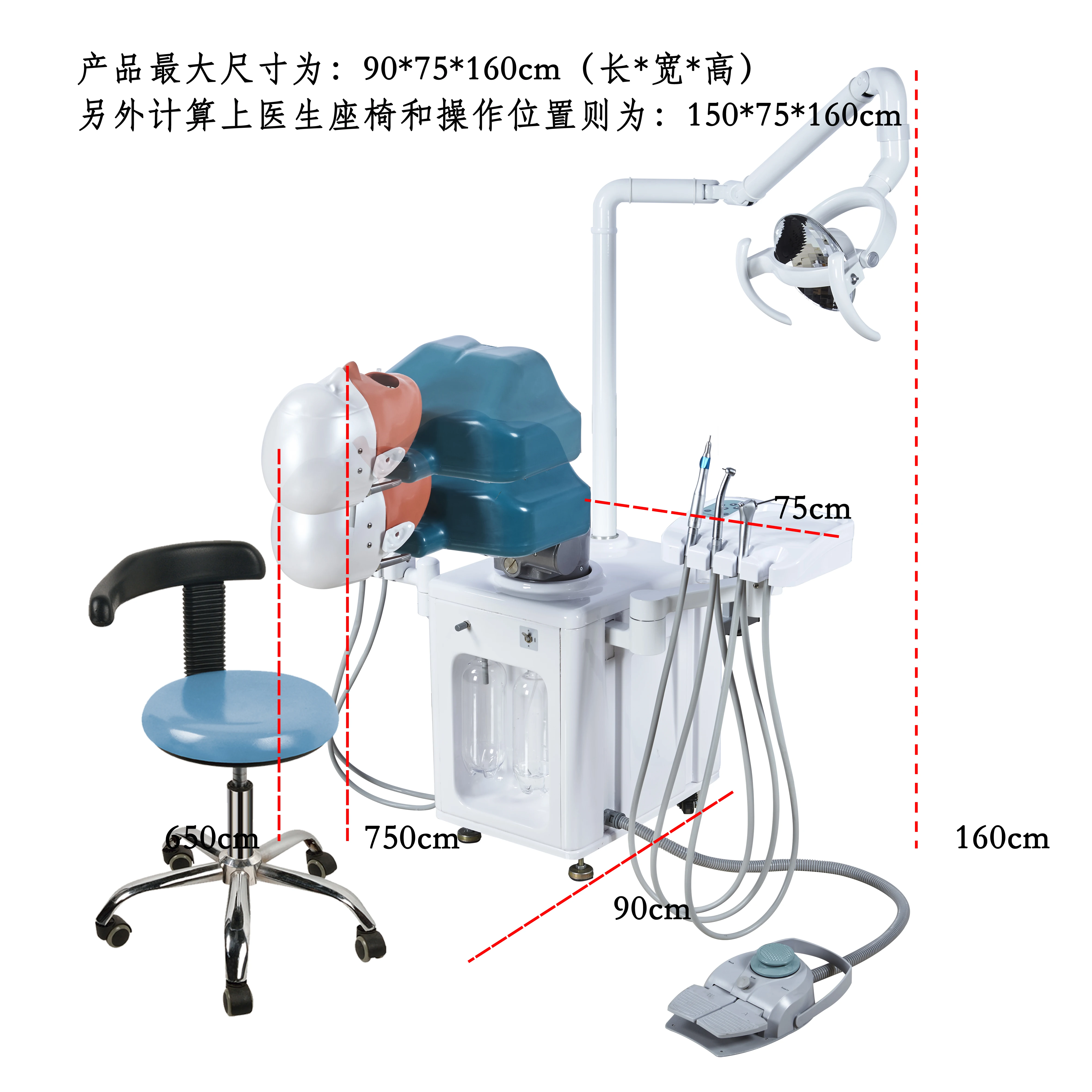 Dental Simulator Manikin Phantom Head Model with 360-Degree Adjustment Resin Teeth Plastic Metal Steel Training Model