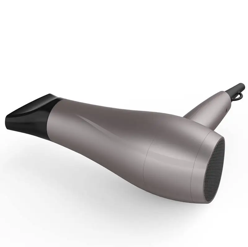 High Power AC Motor Portable Chargeable Styler Hair Brush Parlux Salon Use Diffuser Hotel Hair Dryer Hairdryer