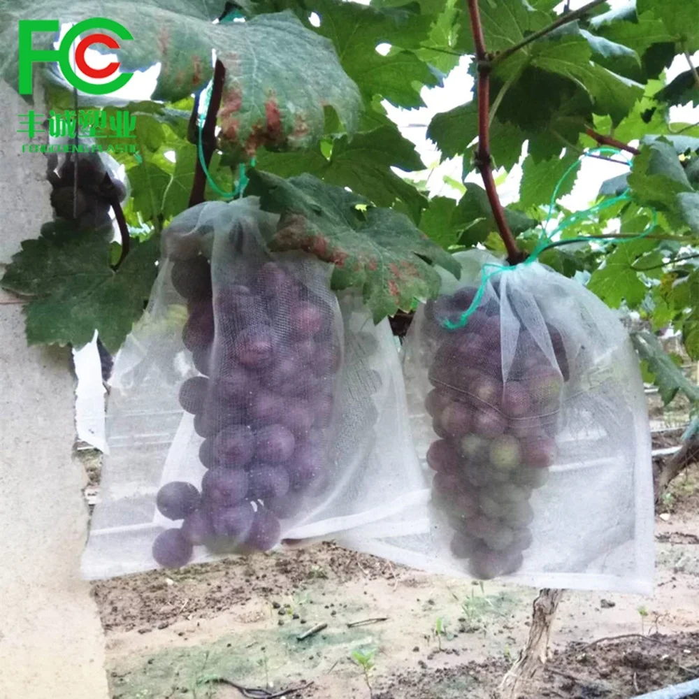 Agricultural Insect prevention net bag For Protection Fruit Cover Bag