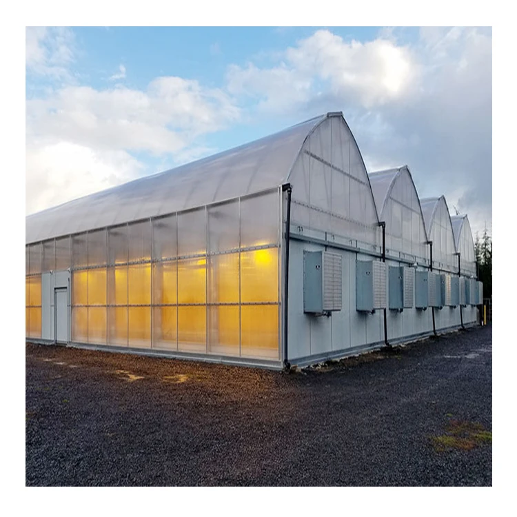 Industrial Greenhouse Hydroponic Greenhouse Tunnel Multi Span Blackout Greenhouse