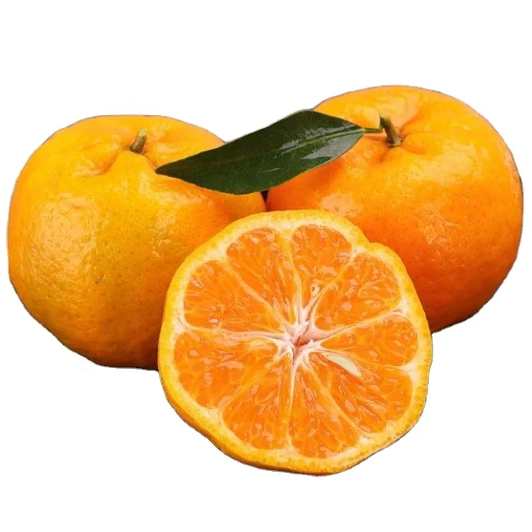 Premium Fresh Citrus Ponkan fruits Bulk Fresh Mandarin Orange Fresh Fruit Sweet Oranges Wholesale Price
