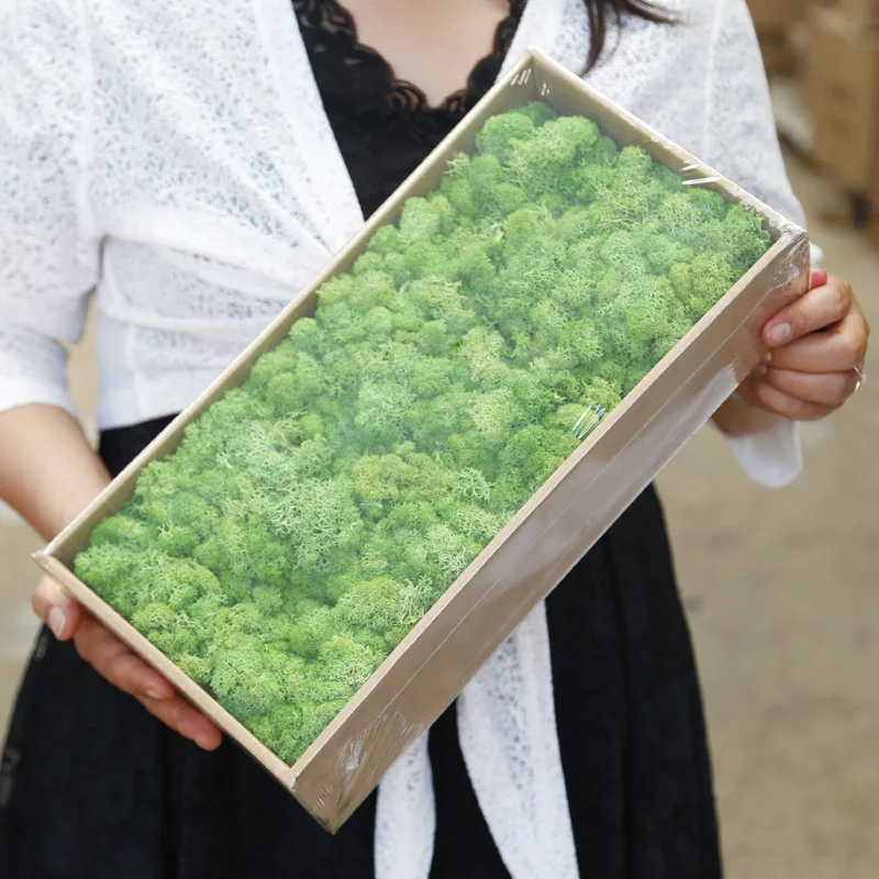 Wholesale Stabilize Reindeer Artificial Moss Wall Preserved Moss for Office decoration vertical garden flower wall